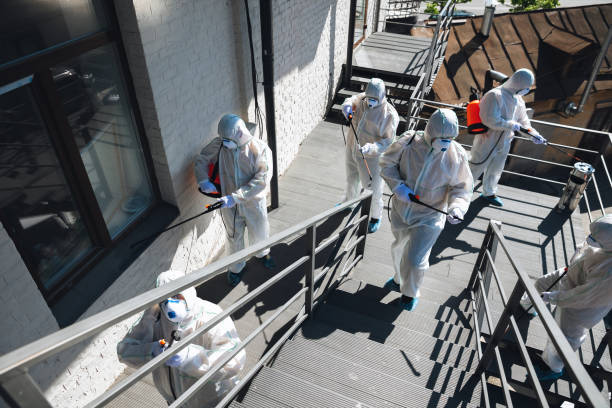 Best Commercial Mold Inspection  in Hollywood, SC