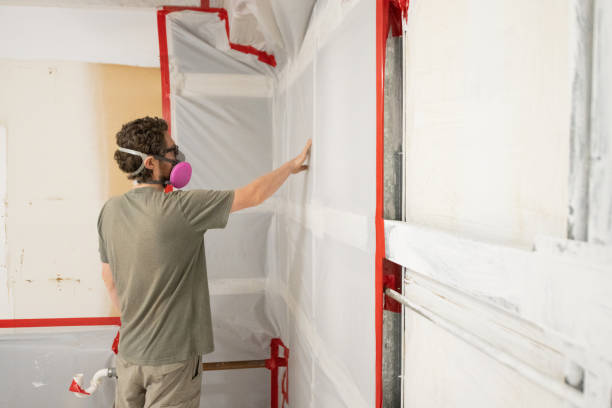 Best Biohazard Mold Removal  in Hollywood, SC