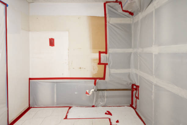 Best Mold Remediation for Rental Properties  in Hollywood, SC