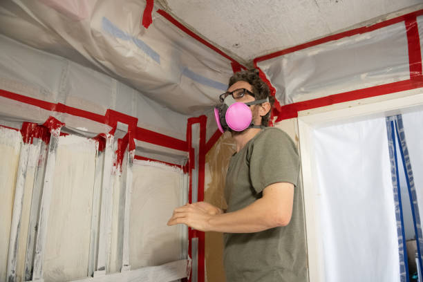 Best Crawl Space Mold Remediation  in Hollywood, SC
