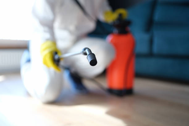 Mold Remediation for Rental Properties in Hollywood, SC