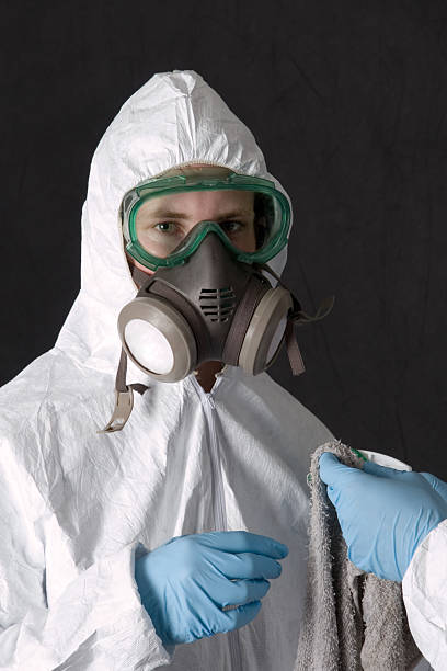 Best Environmental Consulting for Mold Prevention  in Hollywood, SC